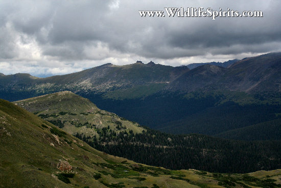 Click Picture to send as an  E-PostCard 64k 550x367